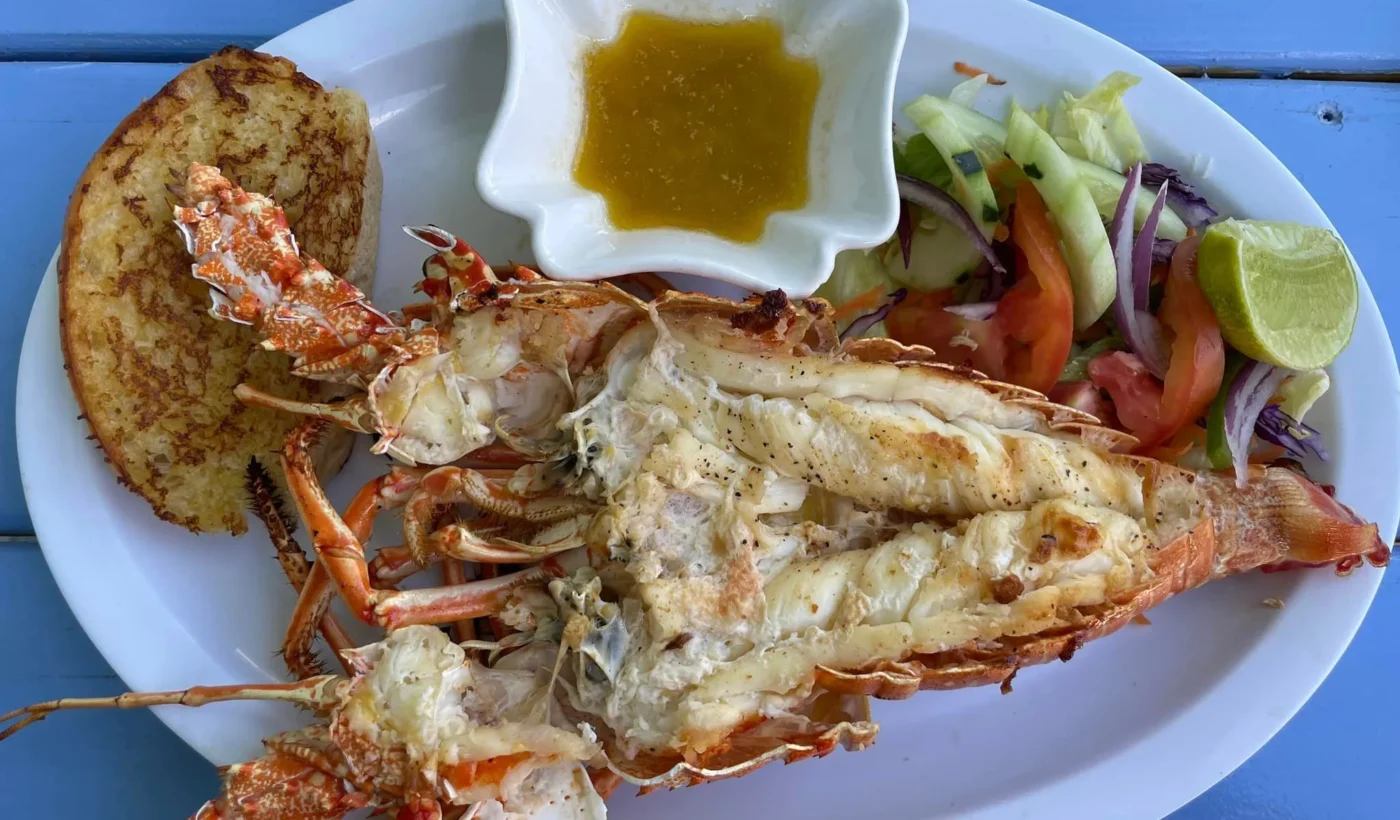 caye-caulker-happylobster3